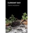 Черная смородина (Currant Day)