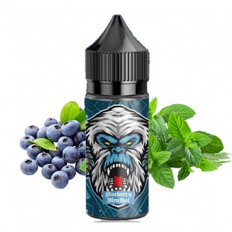 Жидкость Flavorlab FL 350 Blueberry Menthol (Черника Ментол) 30 мл 50 мг