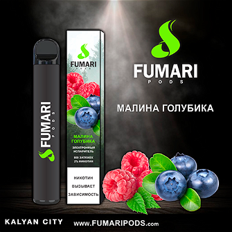 Одноразова електронна сигарета FUMARI PODS Raspberry Blueberry (Малина Голубика) 800 puff