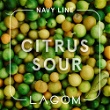Citrus Sour (Лайм Лимон)