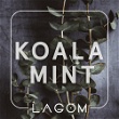 Koala Mint (Orbit Евкаліпт)