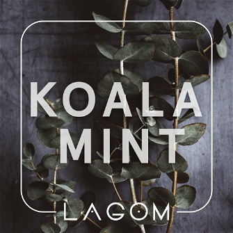 Тютюн Lagom Main Koala Mint (Orbit Евкаліпт)