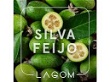 Silva Feijo (Фейхоа з кислинкою)