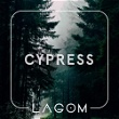 Cypress (Кипарис)