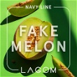 Fake Melon (Дыня)